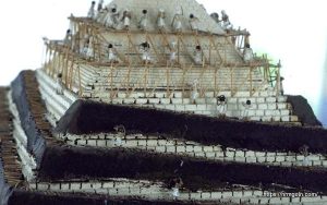 Pyramid Construction মানব সম্পদ ব্যবস্থাপনার ক্রমবিকাশ