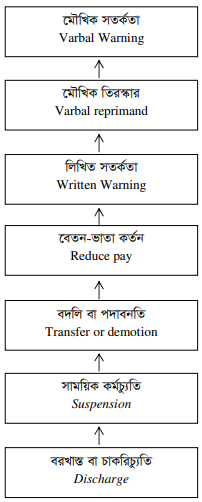শৃঙ্খলা বিধান কার্যের প্রক্রিয়া