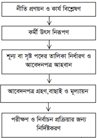 মানব সম্পদ সংগ্রহের পদক্ষেপ 2 মানব সম্পদ সংগ্রহের পদক্ষেপ